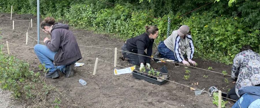 Working With Local Community